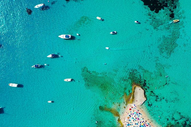 Cala Salada and Unspoiled North Beach Tour. Snorkelling and Aquarium - What is included, and what is not