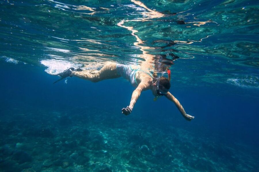 Caleta de Fuste: Catamaran Sailing Experience - The coast between the resort and Pozo Negro