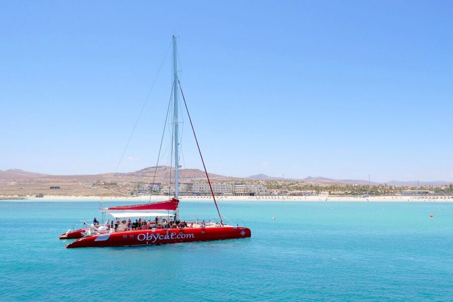 Caleta de Fuste: Catamaran Sailing Experience - Practical tips for a smoother four hours