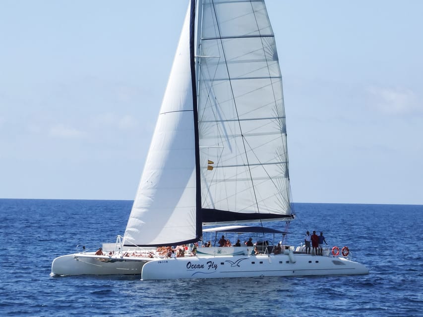 Cambrils: Costa Daurada Sail Catamaran Cruise - Who should choose this Cambrils cruise
