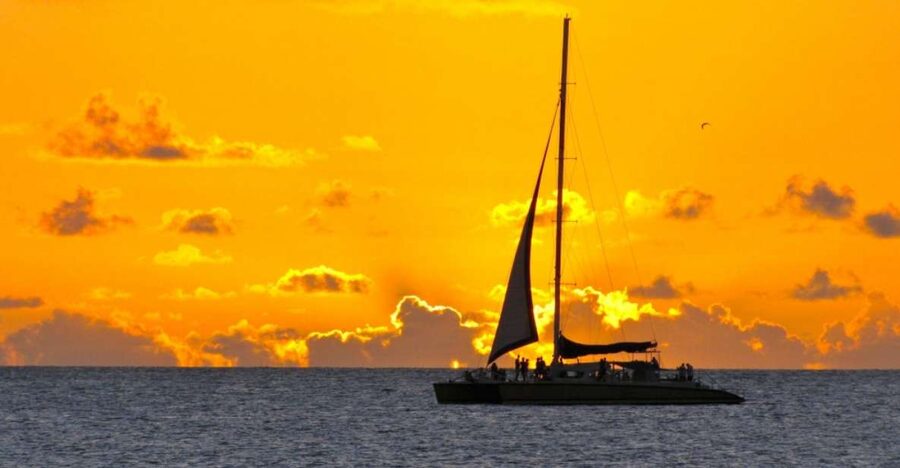Cambrils: Costa Dorada Sunset Catamaran Cruise with Drinks - Coastal views with a drink in hand