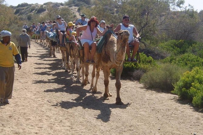Camel Riding in Maspalomas Dunes - The staff, guides, and photo opportunity