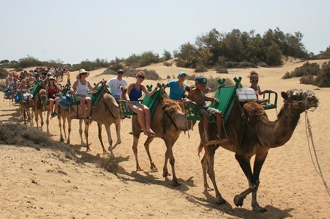 Camel Riding in Maspalomas Dunes - Entering the Reserva Natural Especial de Las Dunas de Maspalomas