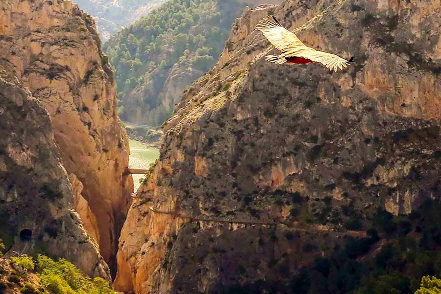 Caminito del Rey: Entry Ticket - Why the Caminito del Rey feels more exciting than difficult