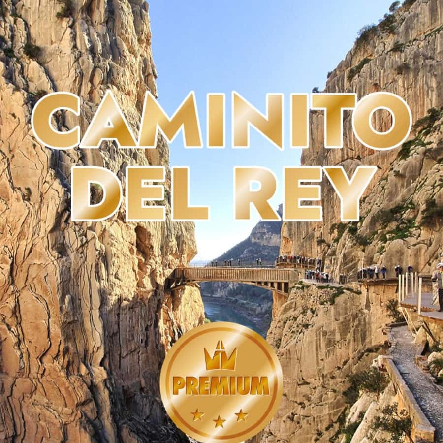 Caminito del Rey from Malaga all included - Leaving Málaga by coach