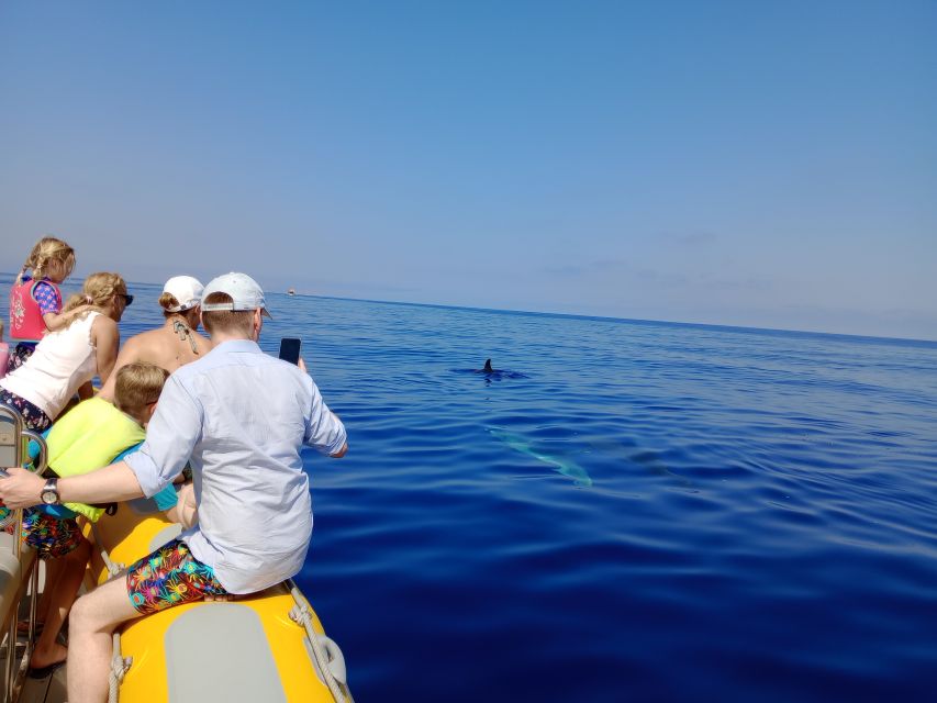 Can Picafort: Dolphin Watching Boat Tour with Swimming - Who should book this boat trip?
