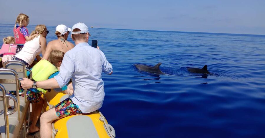 Can Picafort: Dolphin Watching Boat Tour with Swimming - Leaving Can Picafort in a fast boat