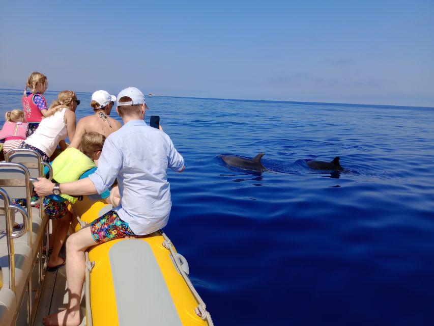 Can Picafort: Dolphin Watching Boat Tour with Swimming - A cave and cove on the way home