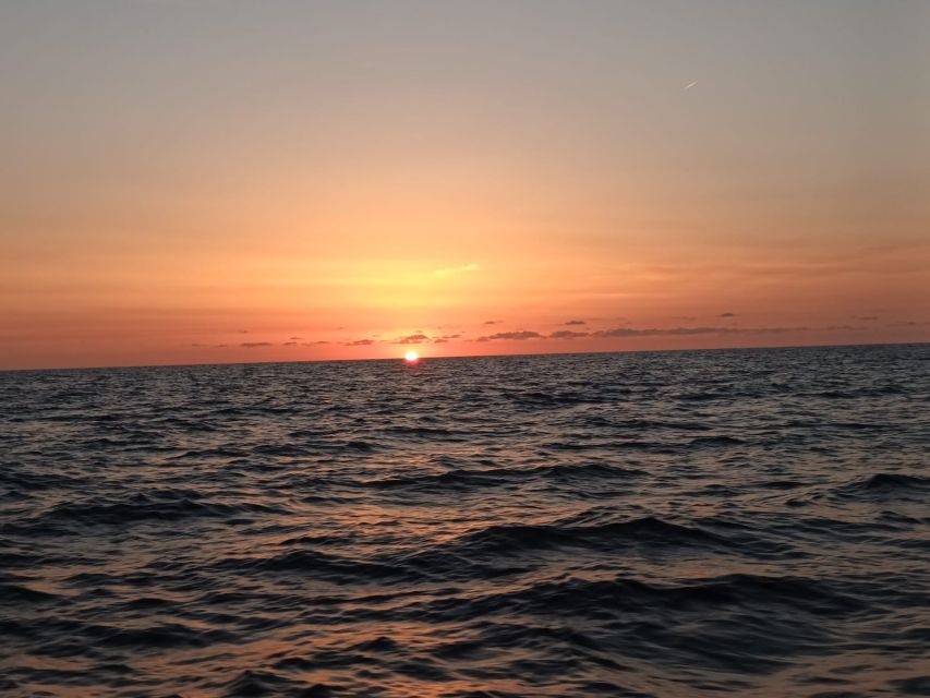 Can Picafort: Dolphin Watching Boat Tour with Swimming - Is $79 a fair price?