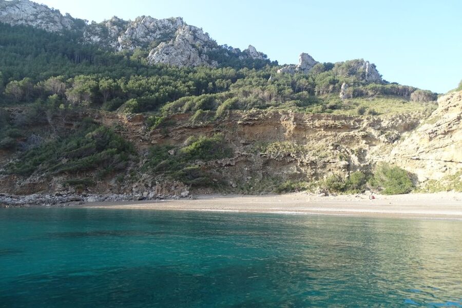 Can Picafort: Dolphin Watching Boat Tour with Swimming - Weather, comfort, and what to pack