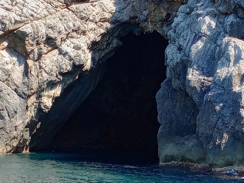 Can Picafort: Dolphin Watching Boat Tour with Swimming - Booking flexibility and timing