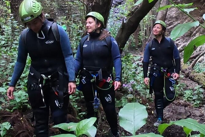 Canyoning Experience in Gran Canaria (Cernícalos canyon) - Walking, climbing, and moving through the ravine