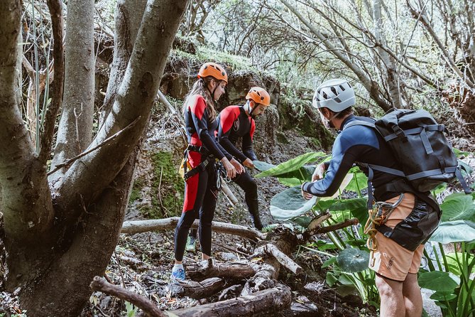 Canyoning with Waterfalls in the Rainforest - Small Groups ツ - Why the eight-person limit changes the day