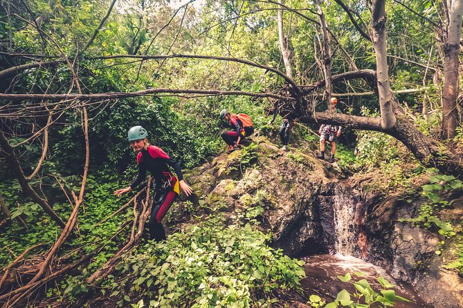 Canyoning with Waterfalls in the Rainforest - Small Groups ツ - Safety, weather, and comfort limits