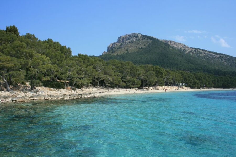 Cap de Formentor: Market, Beach, and Alcudia Tour - Transport, pickup, and the real cost of convenience