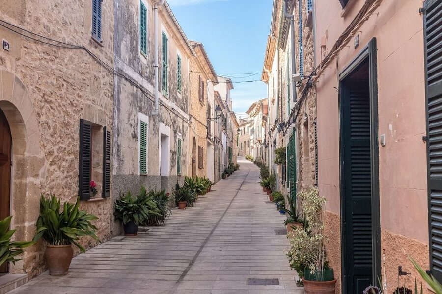 Cap de Formentor: Market, Beach, and Alcudia Tour - The morning market: local life before the scenery
