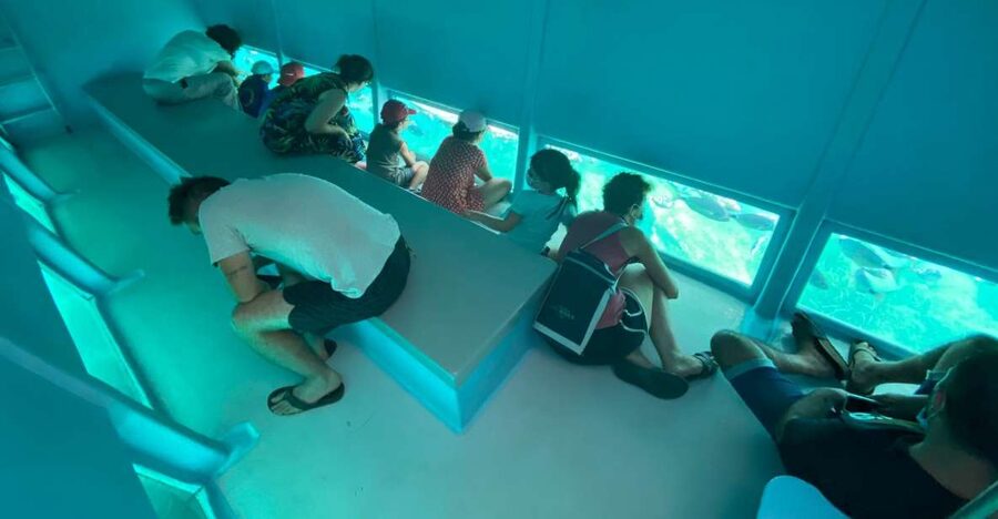 Cap Norfeu: Costa Brava Catamaran Trip with Underwater Views - Key points to know before boarding