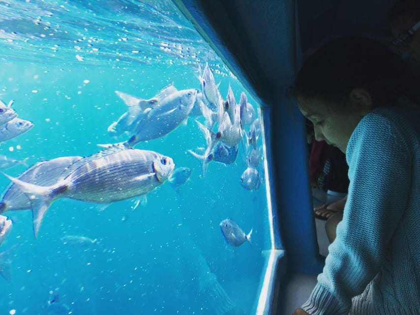 Cap Norfeu: Costa Brava Catamaran Trip with Underwater Views - Comfort, timing, and who should book