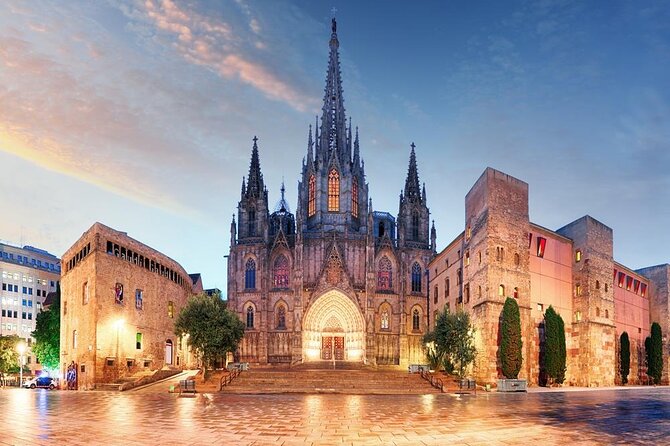 Cathedral of Barcelona Entrance Ticket - Optional Private Guide - Key points to know before you go