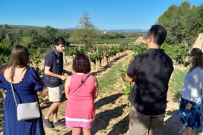 Cava tour to 3 family wineries with hotel pick-up - Giro del Gorner: a five-century-old cellar and garden lunch