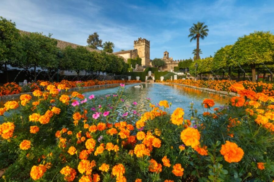 Cordoba: Alcazar of Christian Monarchs 1–Hour Guided Tour - A one-hour tour with a brisk pace