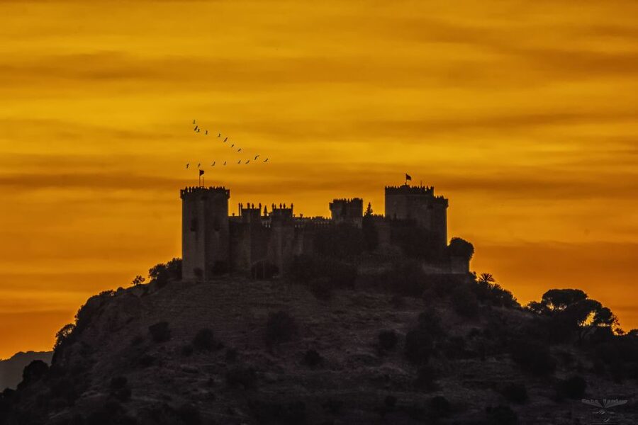 Córdoba: Almódovar Castle Entrance Ticket - My Verdict: Book It If You Can Handle the Climb