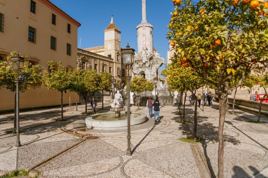 Córdoba: City Sightseeing Hop-On Hop-Off Bus Tour - Audio, comfort, and timing in real use