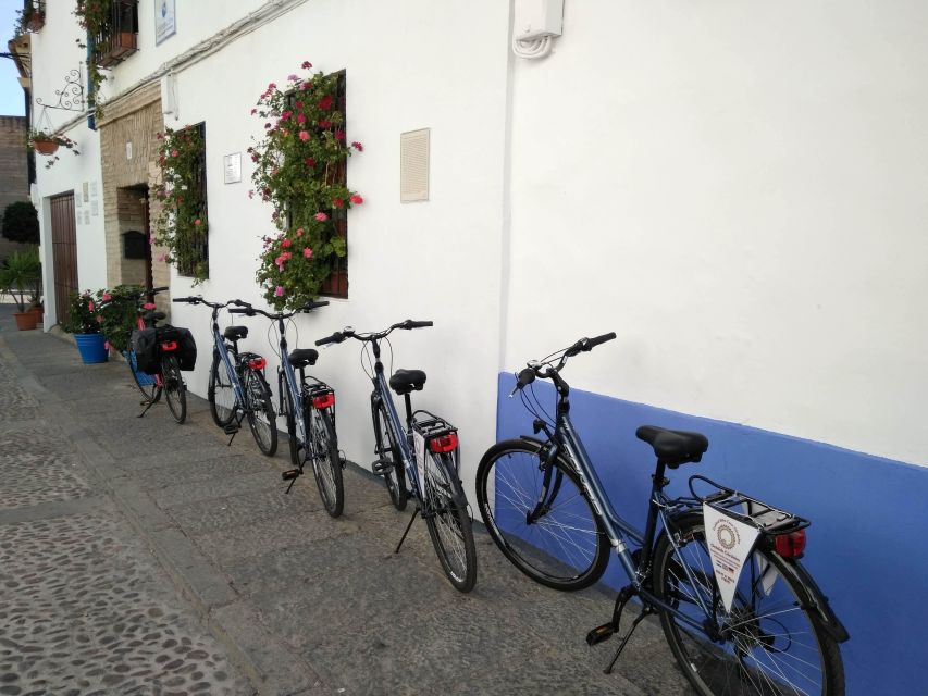 Córdoba Daily Highlights Bike Tour - Who should book this Córdoba ride?