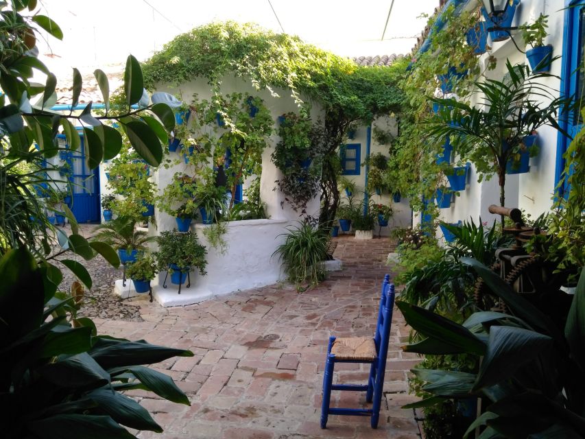 Córdoba Daily Highlights Bike Tour - What the guide adds to the ride