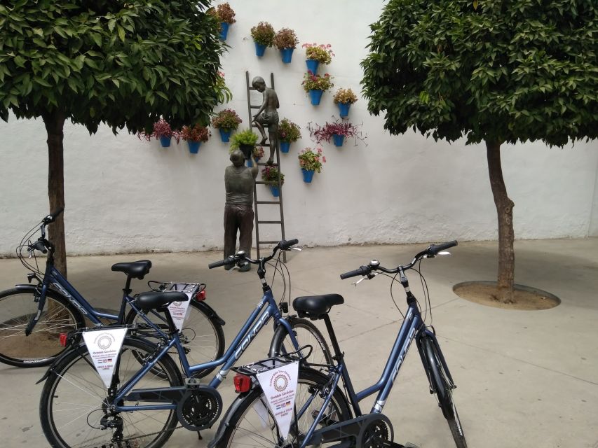 Córdoba Daily Highlights Bike Tour - Is $34 good value for two hours?