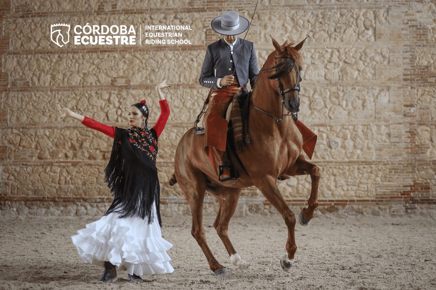Cordoba: Equestrian Show General Entry - Key points to know before you book