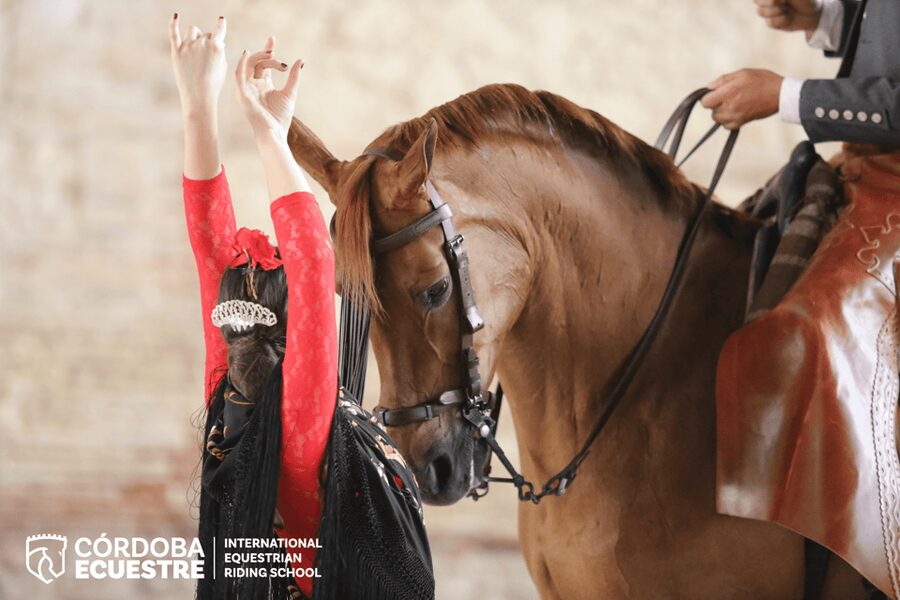 Cordoba: Equestrian Show General Entry - Why the Royal Stables make the show special