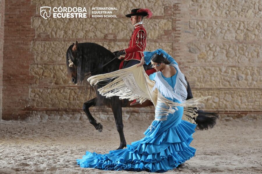 Cordoba: Equestrian Show General Entry - Arriving, collecting tickets, and finding your seat