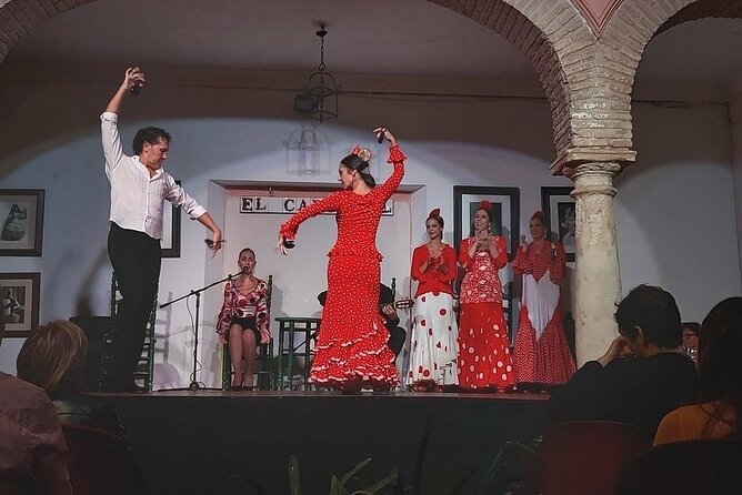 Cordoba Flamenco Show at Tablao El Cardenal with a Drink - Who will enjoy Tablao El Cardenal most?