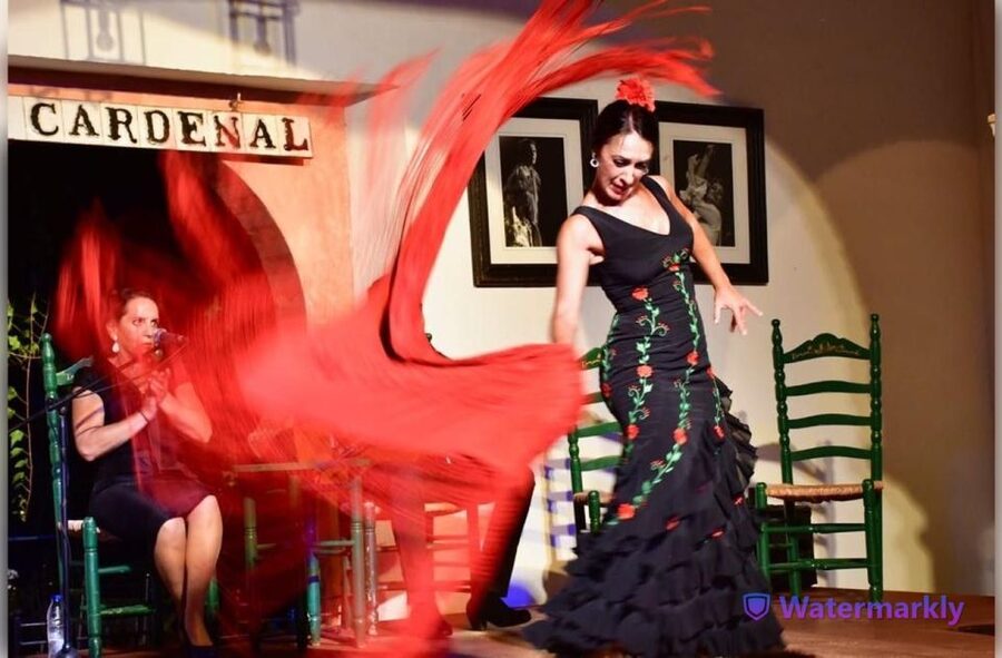 Córdoba: Flamenco Show Ticket with Drinks - Flamenco in Córdoba, close enough to feel every stamp