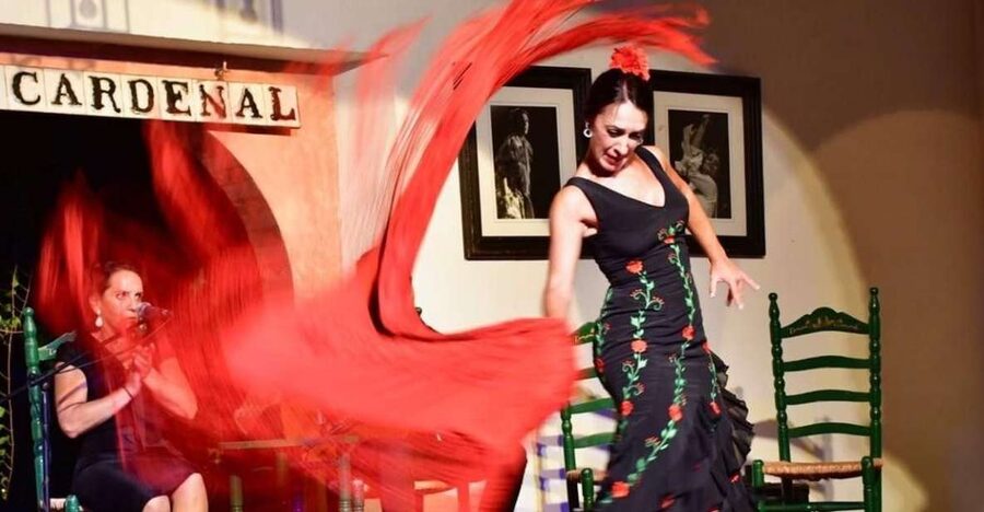 Córdoba: Flamenco Show Ticket with Drinks - The drink and the extra tapas