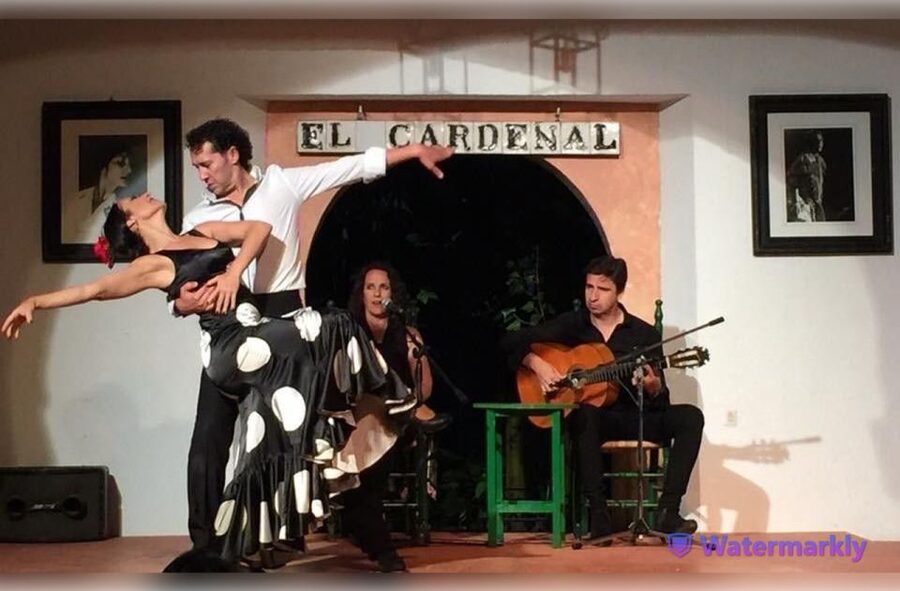 Córdoba: Flamenco Show Ticket with Drinks - Getting the best seat at El Cardenal