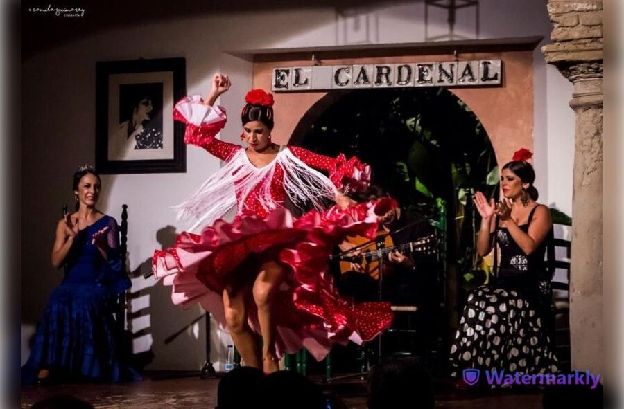 Córdoba: Flamenco Show Ticket with Drinks - A strong choice for a first flamenco show