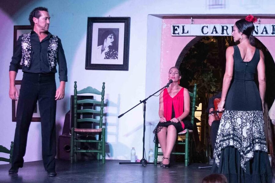 Córdoba: Flamenco Show Ticket with Drinks - Who should book this experience?