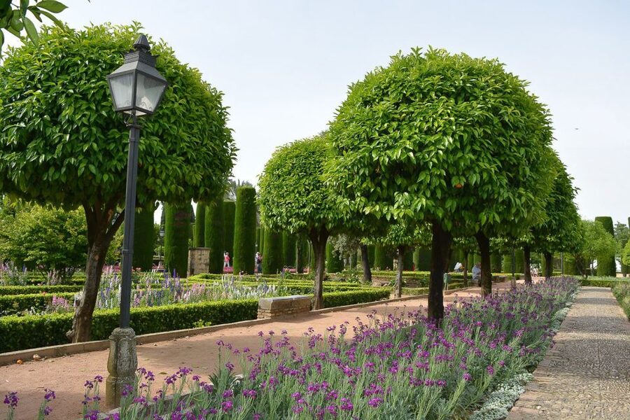 Cordóba: Gardens & Fortress of Catholic Monarchs Guided Tour - My practical verdict on the experience