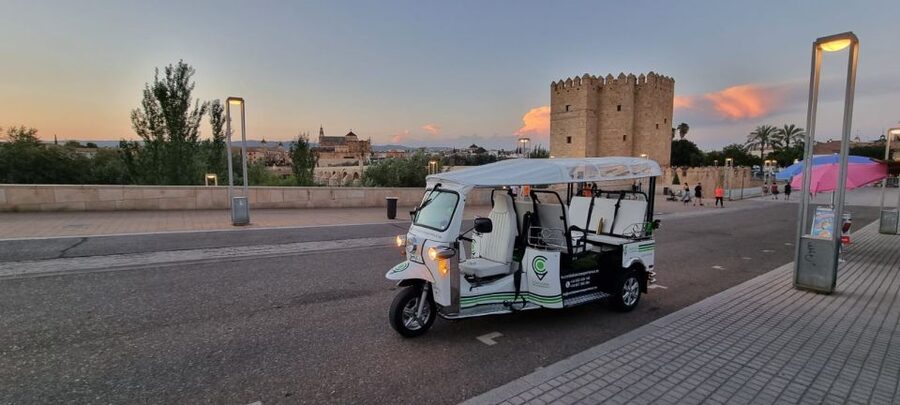 Córdoba: Guided City Tour by Tuk-Tuk - Key points at a glance