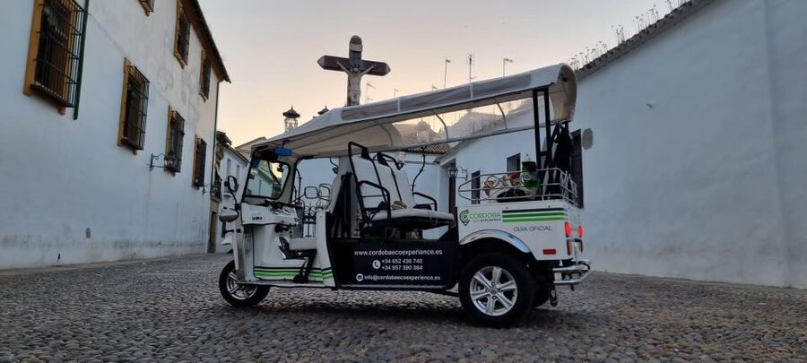 Córdoba: Guided City Tour by Tuk-Tuk - The Alcázar and Mosque-Cathedral