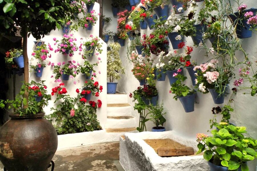 Córdoba: Guided Tour of the Patios - Key points at a glance