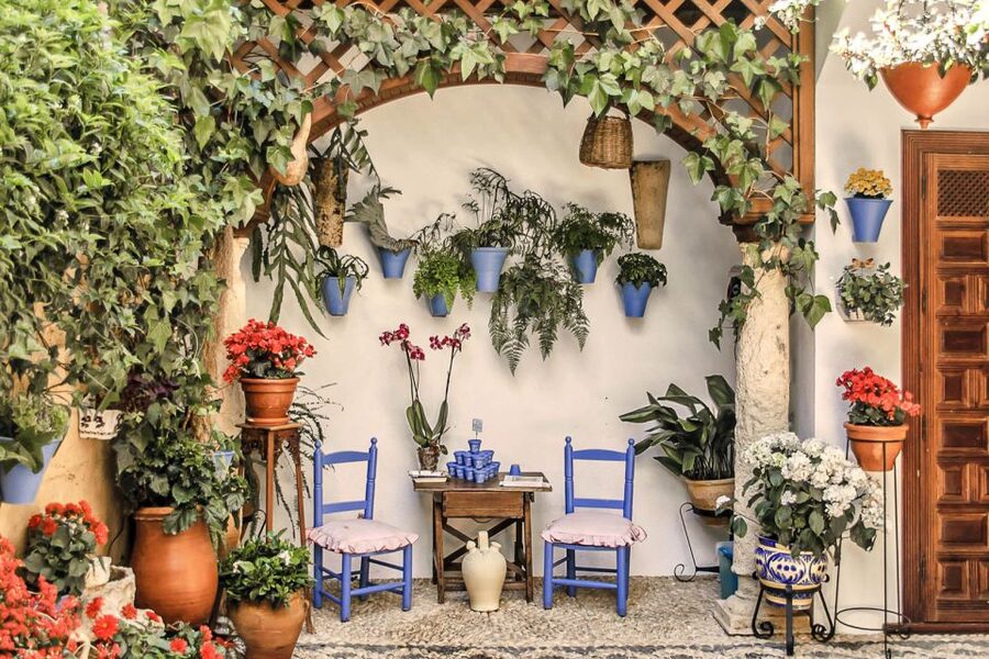 Córdoba: Guided Tour of the Patios - Entering patios that are usually closed