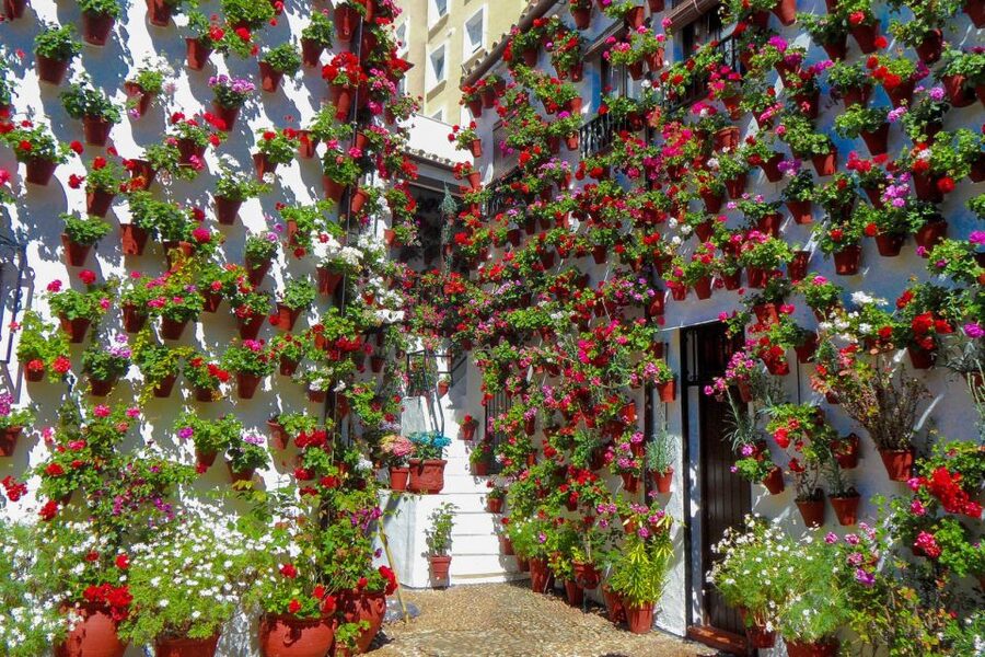 Córdoba: Guided Tour of the Patios - How the 90-minute pace feels