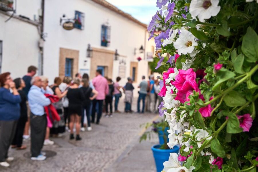 Córdoba: Guided Tour of the Patios - May festival season versus the quieter months
