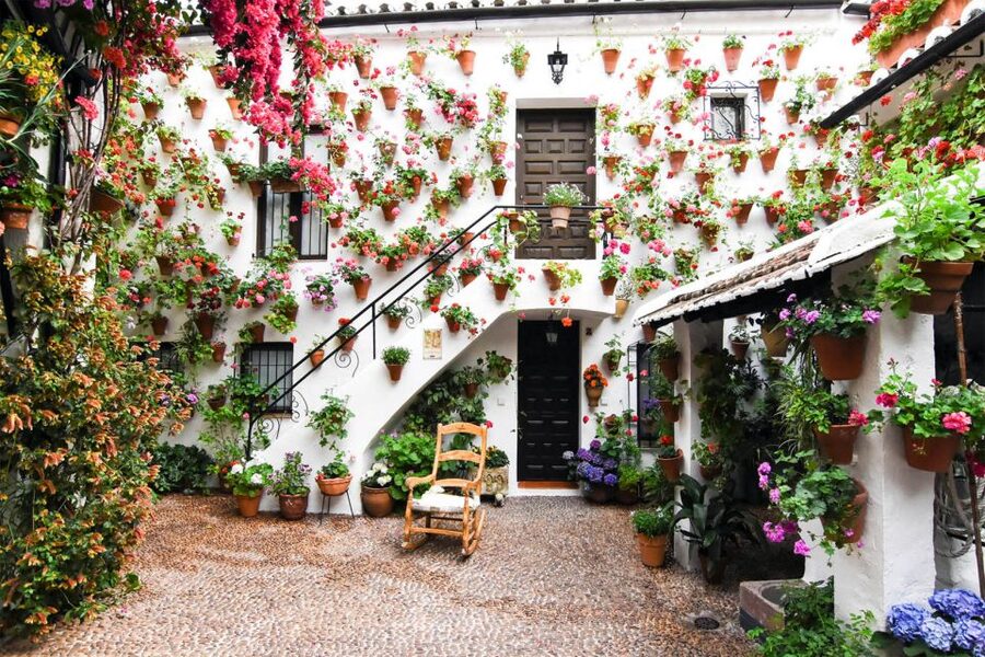 Córdoba: Guided Tour of the Patios - What the guide adds that you cannot easily get alone