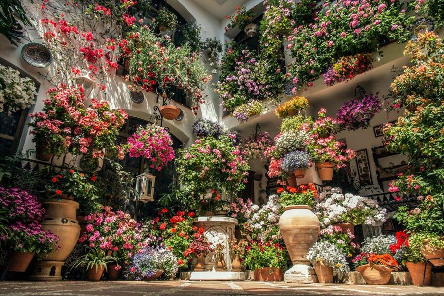 Córdoba: Guided Tour of the Patios - Practical details before you book