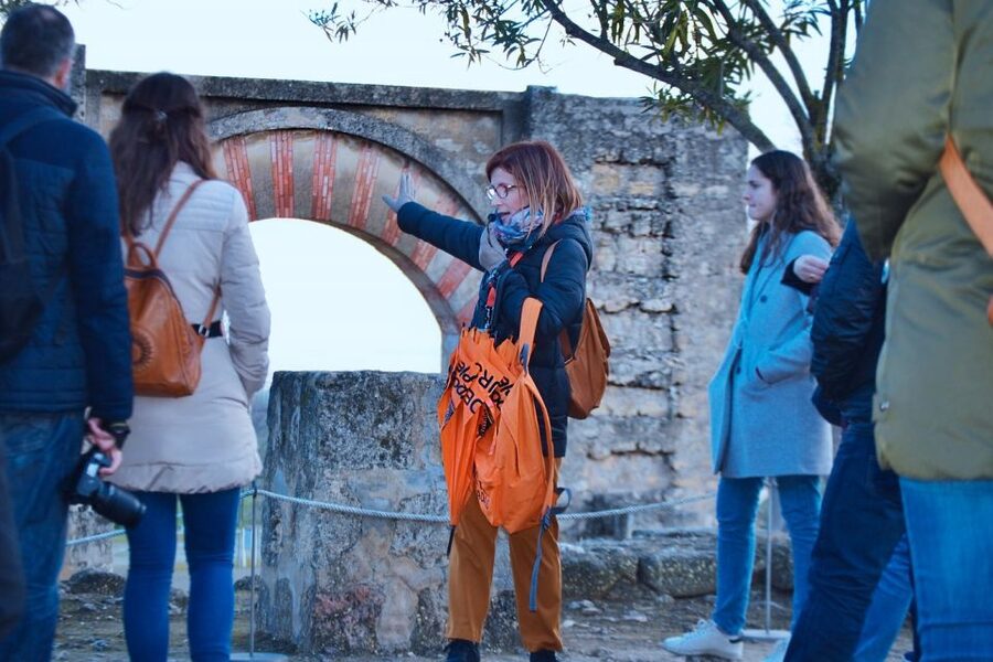 Cordoba: Half-Day Medina Azahara Guided Tour - What the $18 price really covers