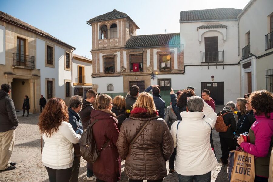 Cordoba: Jewish Quarter and Mosque-Cathedral Guided Tour - Walking through the Judería’s narrow lanes